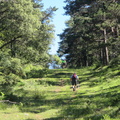 Rodil y Peñalisa (210)